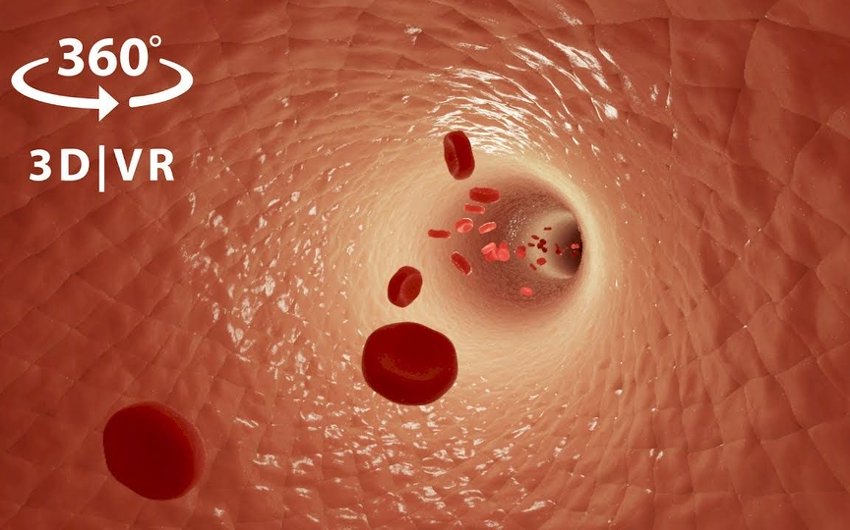 人体探秘 360°全景VR视频