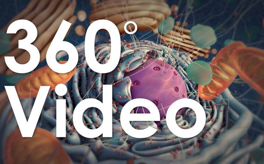 细胞导览 360°全景VR视频