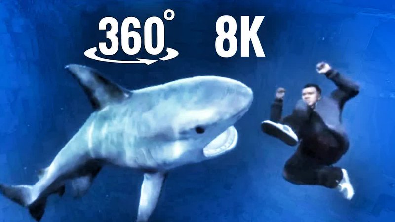 Shark Attack 360°全景VR视频