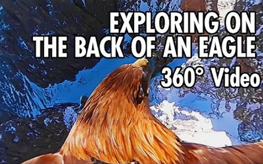 从一只鹰的角度探索白云石山脉 360°全景VR视频