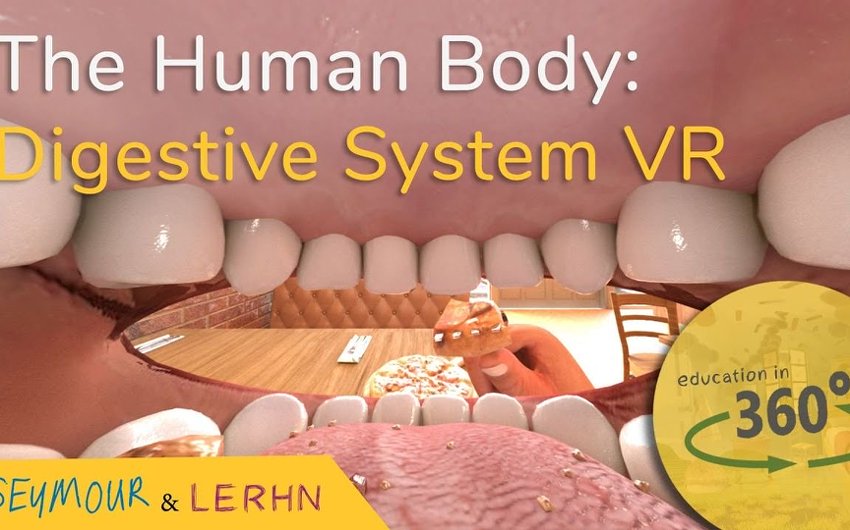 食物在人体的消化过程 360°全景VR视频