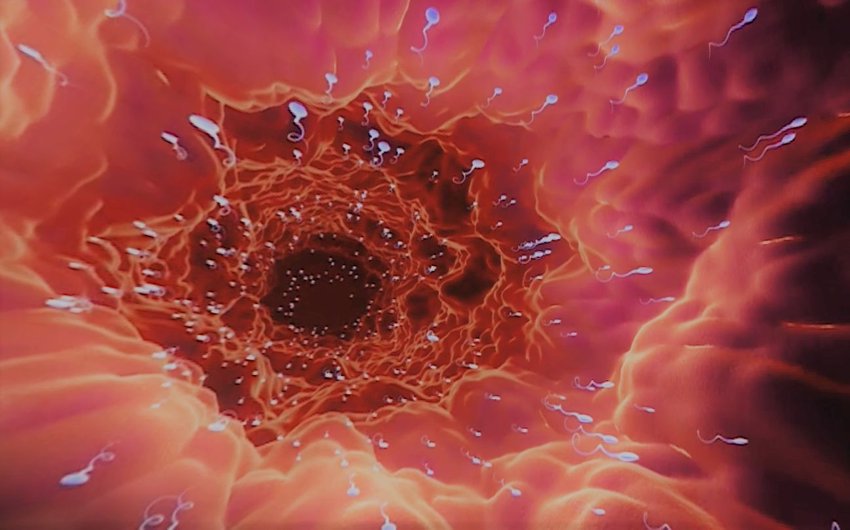 由一颗精子体验生命诞生! 360°全景VR视频